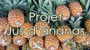 Ananas